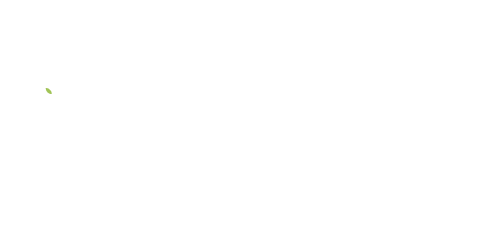 Cakewalk Entertainment